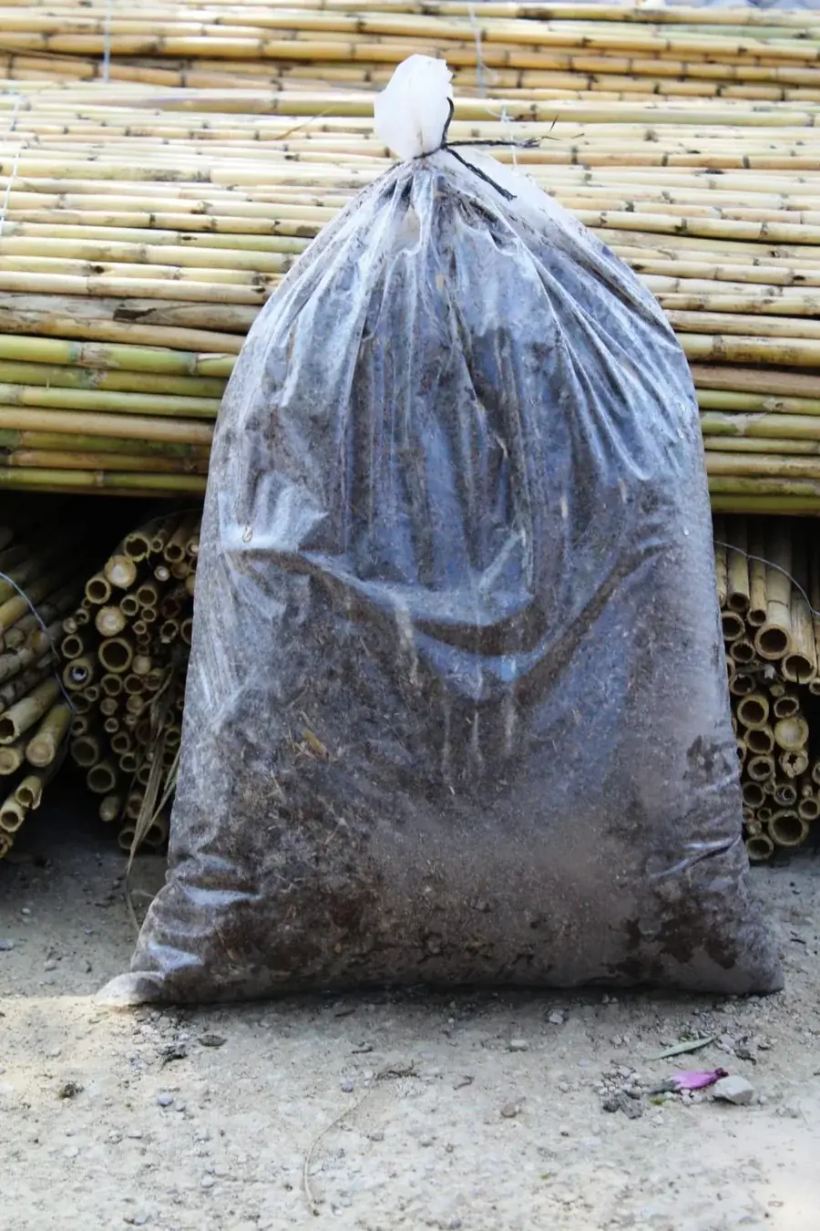 Sac de fiente de poulet, engrais naturel, à la ferme