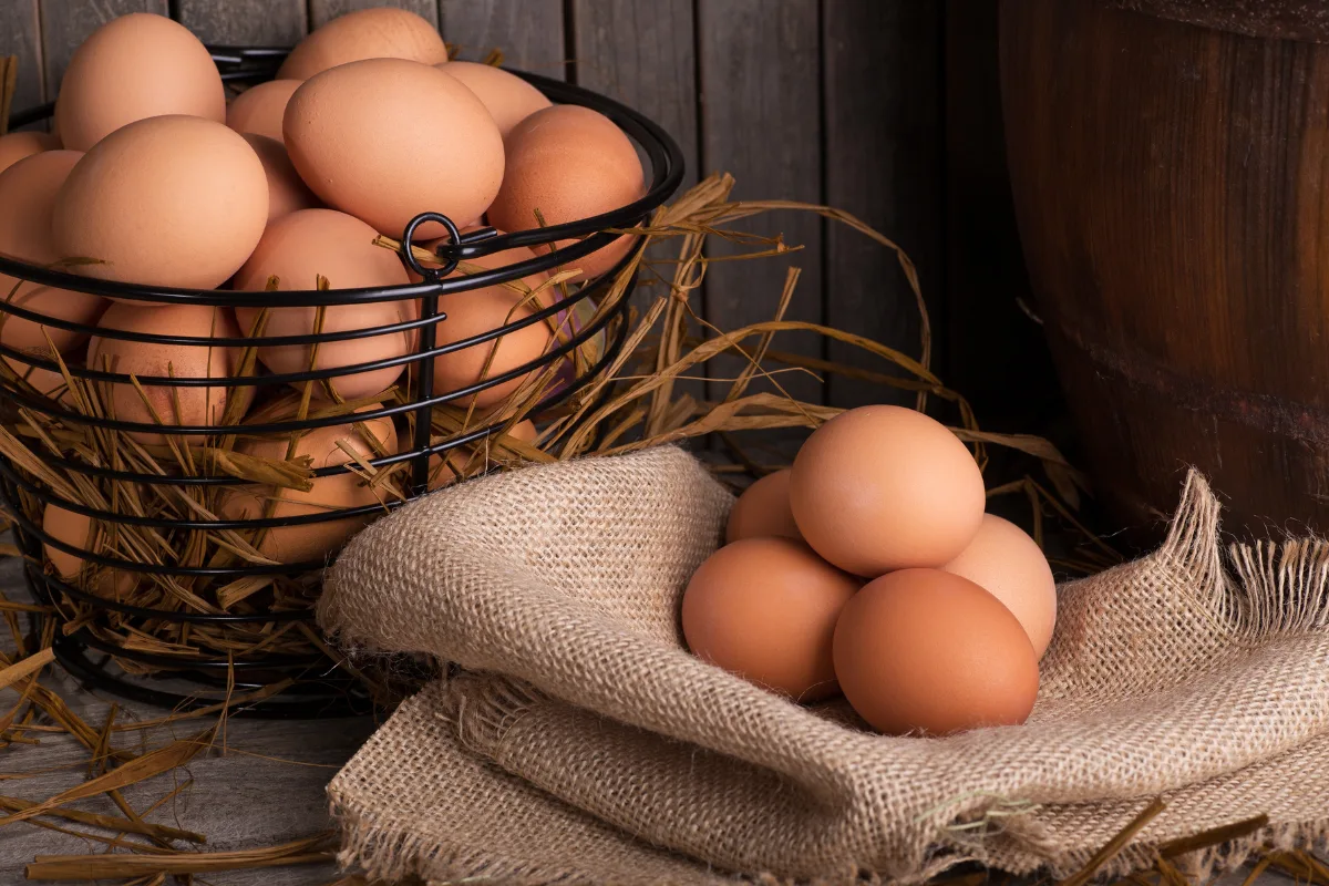Panier d’œufs frais bruns avec des poules en arrière-plan